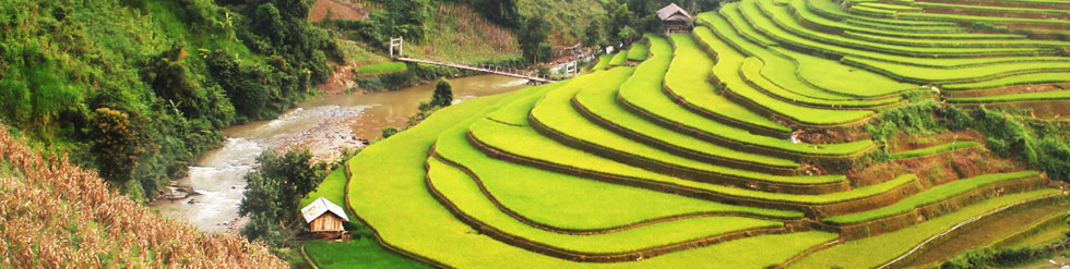 Slice Ruộng bậc thang Sapa