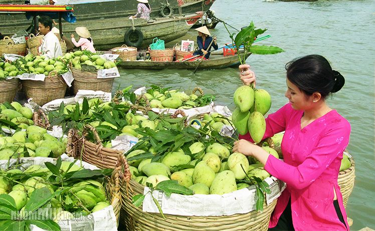 Hà Nội - TP. HCM - Cái Bè - An Bình